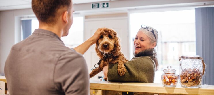 A smiling woman holding a dog while a man pets its head.
